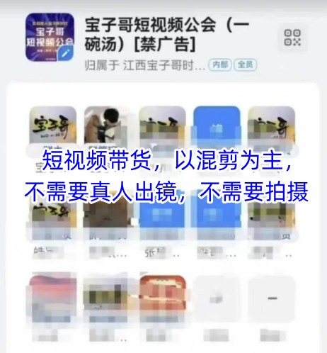 宝子哥头部团队短视频带货,以混剪为主,不需要真人出镜,不需要拍摄【更新9月】-摇钱述